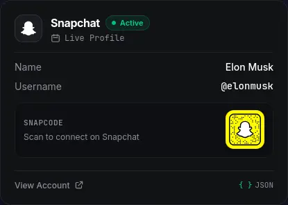 OSINT Trace Playground Snapchat card showing Active status, display name, username, and rendered Snapcode